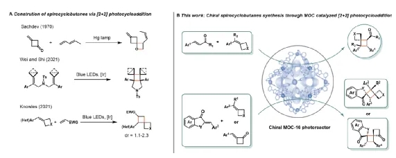 中山大學(xué)蘇成勇/胡鵬團(tuán)隊(duì)JACS：籠限域不對(duì)稱(chēng)光催化實(shí)現(xiàn)高張力多手性螺環(huán)丁烷的合成