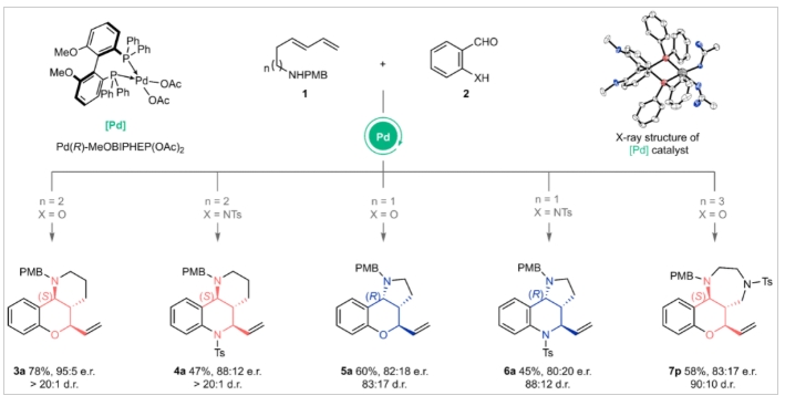 Nat. Chem. | 中國科大黃漢民教授團隊提出自適應動態(tài)動力學拆分的新概念