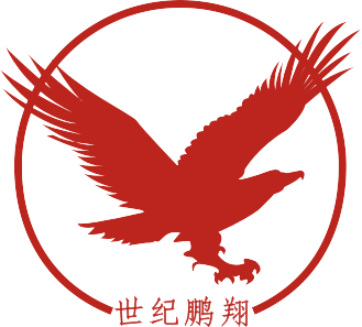 武漢世紀(jì)鵬翔科技有限公司logo