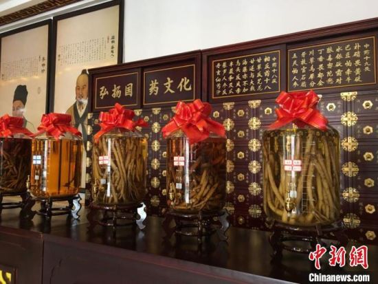 2020年6月，甘肅省定西市渭源縣田家河鄉(xiāng)元古堆村一家中藥材生產(chǎn)加工企業(yè)的藥材展示。 (資料圖) 張婧 攝